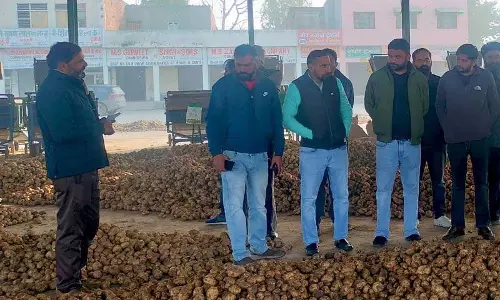 Haryana : अंबाला में आलू का कारोबार शुरू होने से उत्पादकों को राहत
