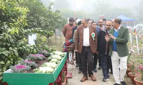 Haryana : एचएयू में पुष्प महोत्सव का उद्घाटन Haryana : एचएयू में पुष्प महोत्सव का उद्घाटन