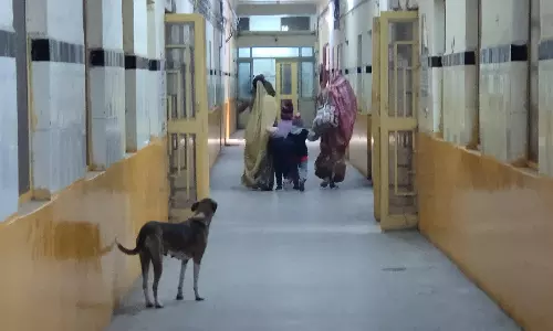 NCR Faridabad: बीके अस्पताल के आपातकालीन विभाग में मरीजों के बेड के पास कुत्ते टहलते हैं NCR Faridabad: बीके अस्पताल के आपातकालीन विभाग में मरीजों के बेड के पास कुत्ते टहलते हैं