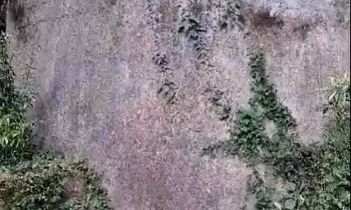 Mcleodganj क्षेत्र में पानी की भारी किल्लत, स्टोरेज टैंक लीक होने लगा Mcleodganj क्षेत्र में पानी की भारी किल्लत, स्टोरेज टैंक लीक होने लगा