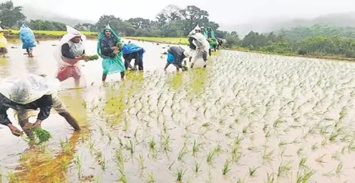 Odisha: कांग्रेस ने ओडिशा राहत संहिता में सुधार की मांग की