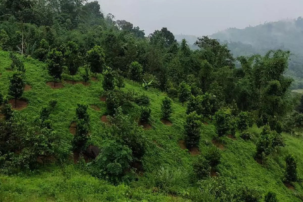 Arunachal: वन अधिकारियों ने ऊपरी सुबनसिरी में जंगली जानवरों के शव जब्त किए