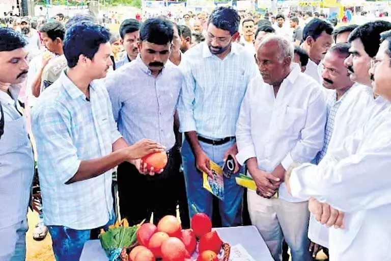 आदिवासी इंजीनियर ने Andhra में ‘स्वर्गीय फल’ की खेती की शुरुआत की