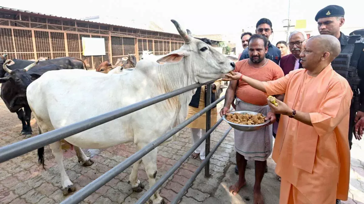 भाजपा ने आरोप लगाया कि Yogi सरकार में गायों की हत्या के खिलाफ कार्रवाई की मांग की