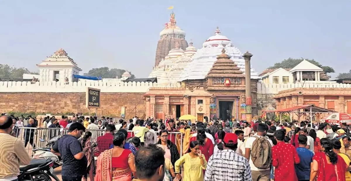 Odisha: श्रीमंदिर महाप्रसाद के लिए जैविक चावल का उपयोग करेगा