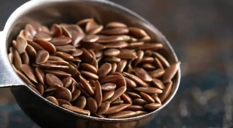 अच्छे स्वास्थ्य के लिए ये 4 SEEDS आएंगे काम, जानिए