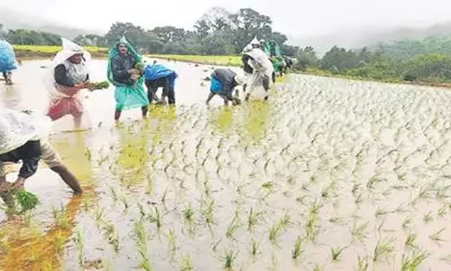 Odisha: कांग्रेस ने ओडिशा राहत संहिता में सुधार की मांग की
