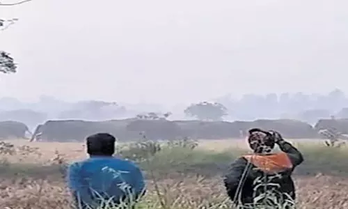 Odisha: मयूरभंज में हाथी ने 40 वर्षीय व्यक्ति को कुचलकर मार डाला Odisha: मयूरभंज में हाथी ने 40 वर्षीय व्यक्ति को कुचलकर मार डाला