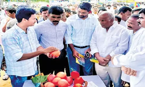 Andhra: आदिवासी इंजीनियर ने ‘स्वर्गीय फल’ की खेती की शुरुआत की Andhra: आदिवासी इंजीनियर ने ‘स्वर्गीय फल’ की खेती की शुरुआत की