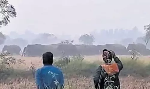 Mayurbhanj में हाथी ने 40 वर्षीय व्यक्ति को कुचलकर मार डाला