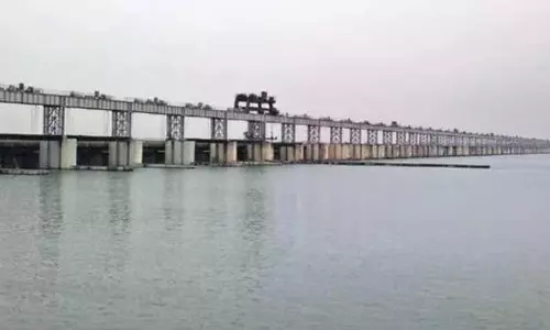 Odisha: महानदी के प्रदूषण की जांच के लिए पैनल गठित