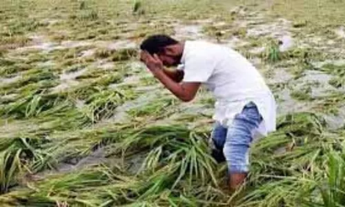 Odisha में फसल नुकसान से एक और किसान की मौत