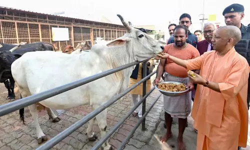 भाजपा ने आरोप लगाया कि Yogi सरकार में गायों की हत्या के खिलाफ कार्रवाई की मांग की