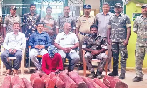 AP: लाल चंदन की 12 लकड़ियां जब्त, एक तस्कर गिरफ्तार AP: लाल चंदन की 12 लकड़ियां जब्त, एक तस्कर गिरफ्तार