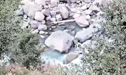 वाहन खाई में गिरा, चार लोगों की मौत और दो लापता, देखें मंजर