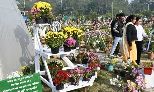 Haryana : अधिक कमाई के लिए फूल, सब्जी की खेती अपनाएं  विशेषज्ञ