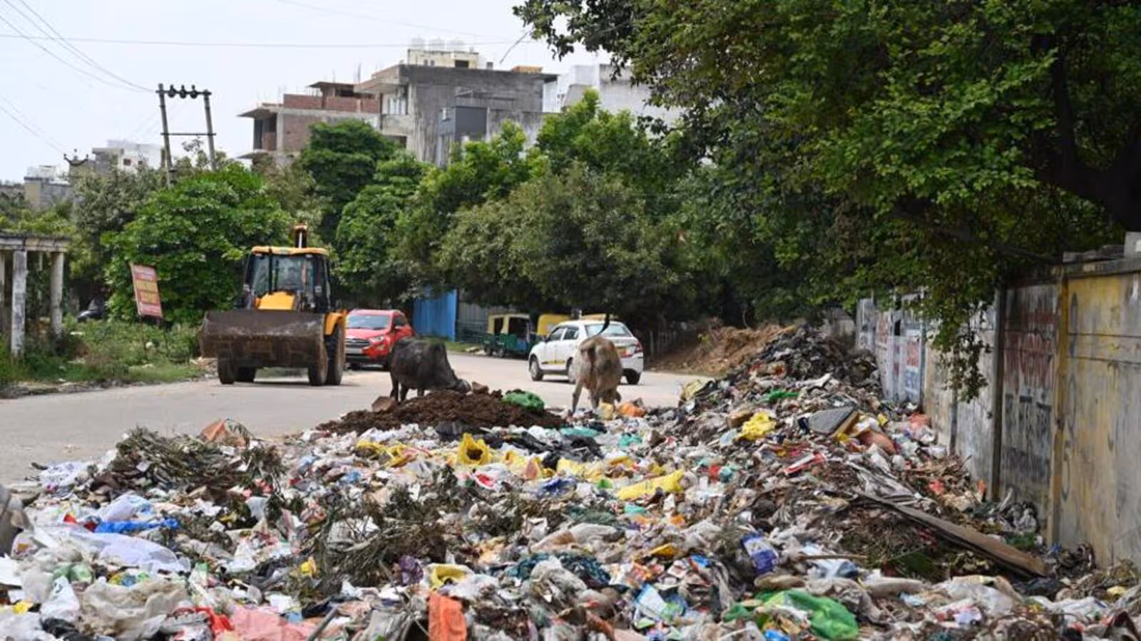 NCR Gurugram: कचरा तीसरी बार फैलाने पर हटाई जाएगी दुकान