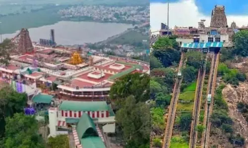 पलानी मुरुगन मंदिर ने रिक्त पदों को भरने की घोषणा: कुल 296 पदो की भर्ती