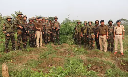 Tripura : पुलिस ने बड़ी कार्रवाई करते हुए 40,000 गांजा के पौधे नष्ट किए