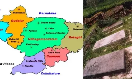 मार्शल के जीजा ने दुनिया को बताया मामल्लापुरम के बारे में: चलता-फिरता VIP