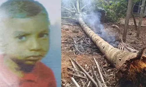 Kerala : पेरुम्बवूर में नारियल का पेड़ गिरने से प्रवासी लड़के की मौत Kerala : पेरुम्बवूर में नारियल का पेड़ गिरने से प्रवासी लड़के की मौत