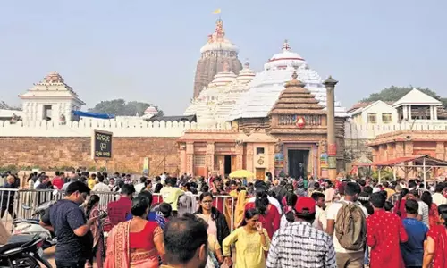 Odisha: श्रीमंदिर महाप्रसाद के लिए जैविक चावल का उपयोग करेगा Odisha: श्रीमंदिर महाप्रसाद के लिए जैविक चावल का उपयोग करेगा