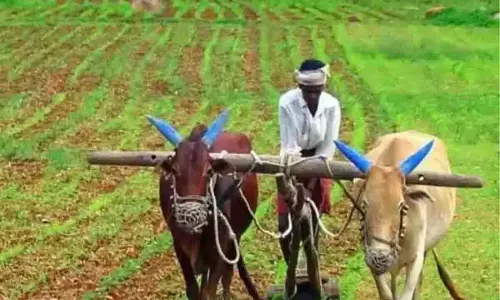 Punjab: शंभू में गुरुपर्व मनाएंगे किसान Punjab: शंभू में गुरुपर्व मनाएंगे किसान