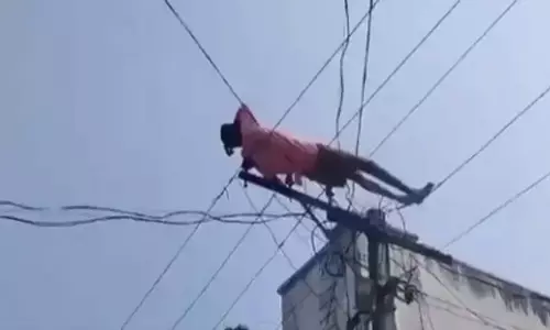 VIDEO: नशे में धुत शख्स बिजली के खंभे पर चढ़कर सोया, फिर जो हुआ...