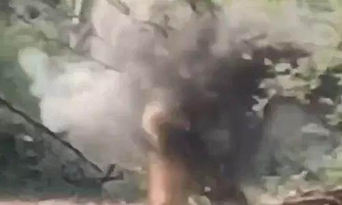 बीजापुर में 2 IED बम डिफ्यूज किए गए