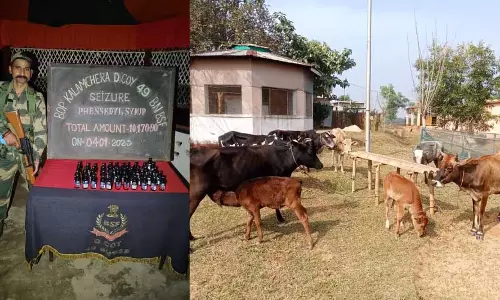 Tripura बीएसएफ ने भारत-बांग्लादेश सीमा पर तस्करी की कोशिश