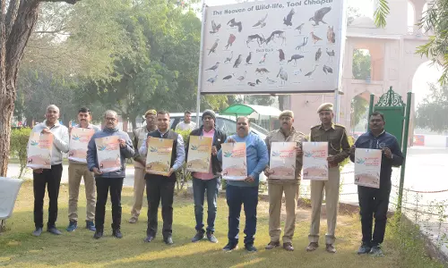 Churu: 01 व 02 फरवरी को आयोजित होगा बर्ड फेस्टिवल -2025 जिला कलेक्टर अभिषेक सुराणा