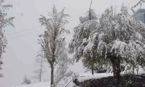 Himachal: राज्य में 5 और 6 जनवरी को ताजा बर्फबारी हो सकती Himachal: राज्य में 5 और 6 जनवरी को ताजा बर्फबारी हो सकती