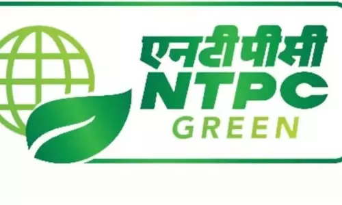 बांस किसानों के लिए खुशखबरी: सोलापुर में NTPC के प्रोजेक्ट में होगा बांस का इस्तेमाल