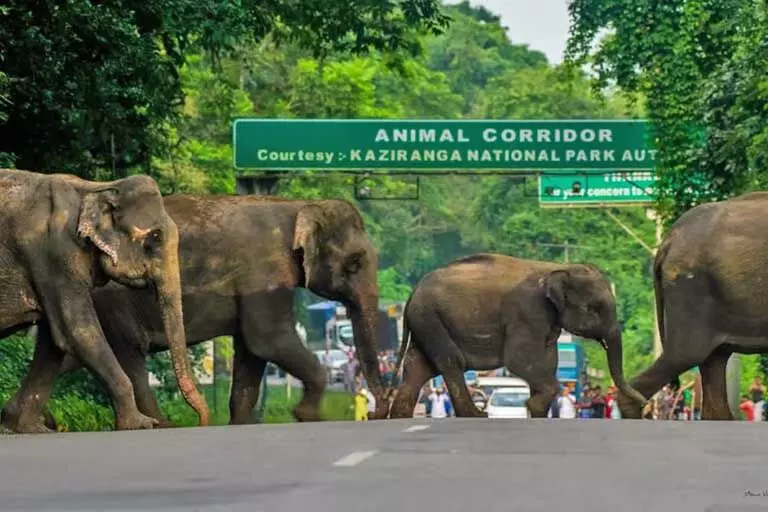 Assam: कलियाबोर से नुमालीगढ़ तक राष्ट्रीय राजमार्ग को चार लेन का बनाना जल्द ही