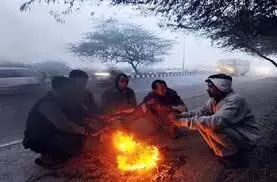 Lucknow Weather :  शहर में शीतलहर का प्रकोप जारी