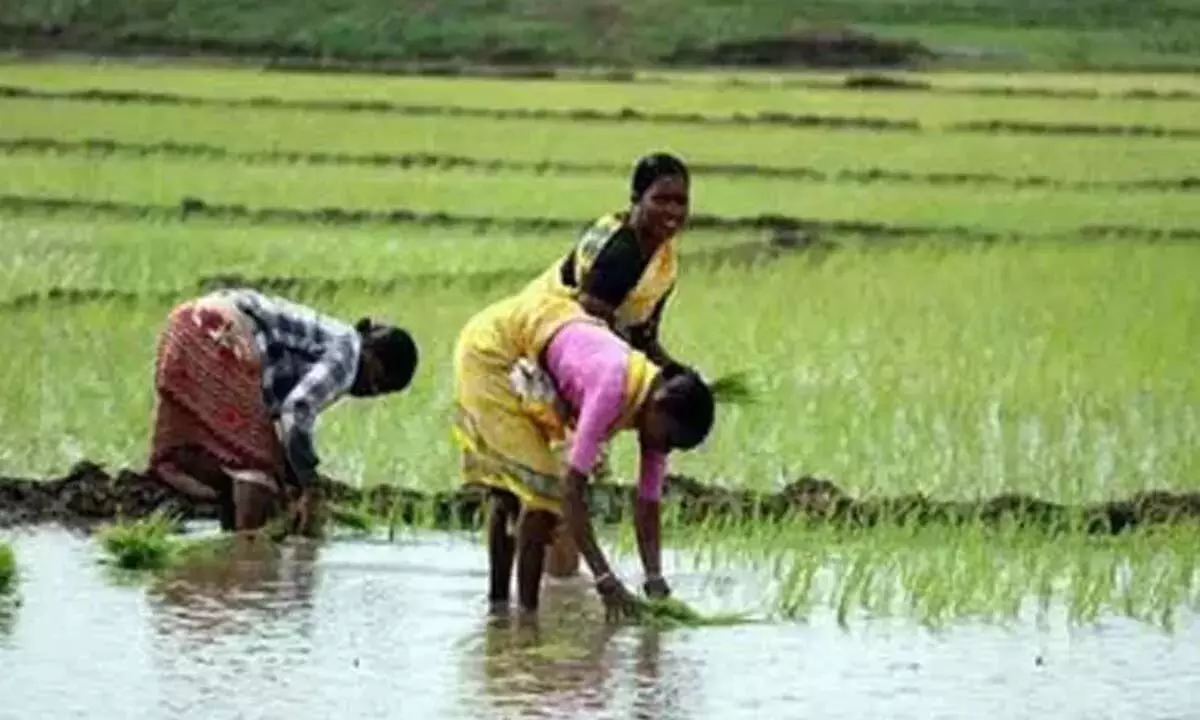 Andhra: किसानों से सरकारी योजनाओं का लाभ उठाने को कहा गया