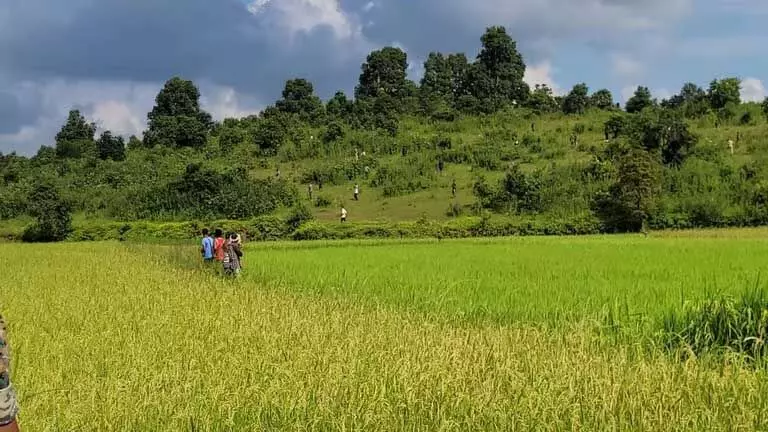 Meghalaya :  सीमावर्ती भूमि स्वामित्व को लेकर कार्बी समुदाय से कथित तौर पर धमकियों का सामना करना पड़ रहा