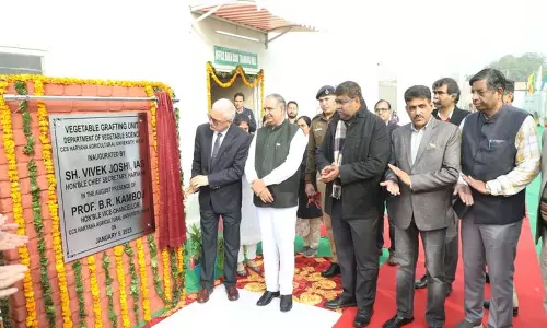 Haryana: फार्म यूनिवर्सिटी में सब्जी ग्राफ्टिंग इकाई का उद्घाटन Haryana: फार्म यूनिवर्सिटी में सब्जी ग्राफ्टिंग इकाई का उद्घाटन