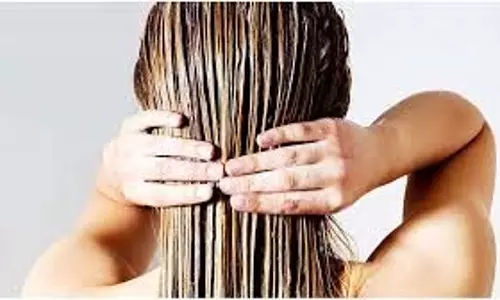 Hair Care: बेजान बालों में जान डाल देगा ये मेथी का हेयर मास्क Hair Care: बेजान बालों में जान डाल देगा ये मेथी का हेयर मास्क