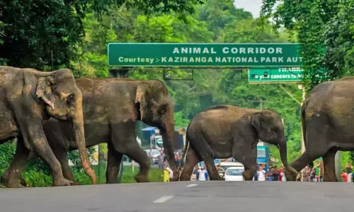 Assam: कलियाबोर से नुमालीगढ़ तक राष्ट्रीय राजमार्ग को चार लेन का बनाना जल्द ही