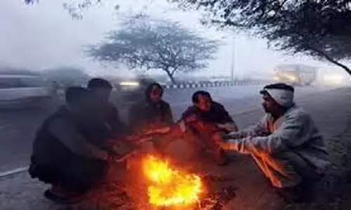 Lucknow Weather :  शहर में शीतलहर का प्रकोप जारी