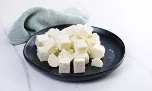 Paneer Benefits: पनीर को इन तरीकों से करें अपनी डाइट में शामिल, कई बीमारियां रहेंगी दूर Paneer Benefits: पनीर को इन तरीकों से करें अपनी डाइट में शामिल, कई बीमारियां रहेंगी दूर
