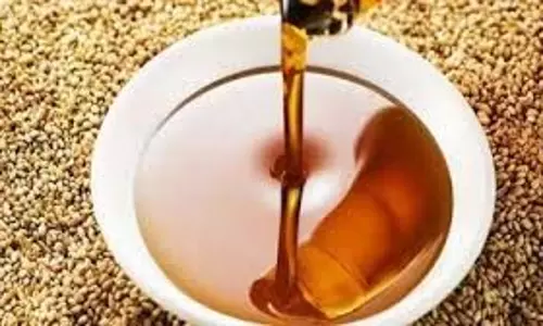 Health:  बढ़ते कोलेस्ट्रॉल को नियंत्रित करते हैं ये तेल