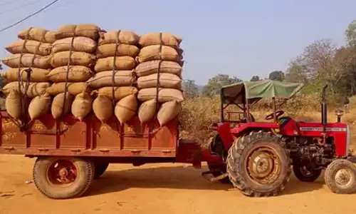 ट्रैक्टर से 150 बोरी अवैध धान जब्त
