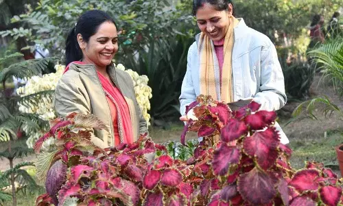 Haryana : हिसार एचएयू में शहरी खेती एक्सपो और पुष्प महोत्सव का समापन