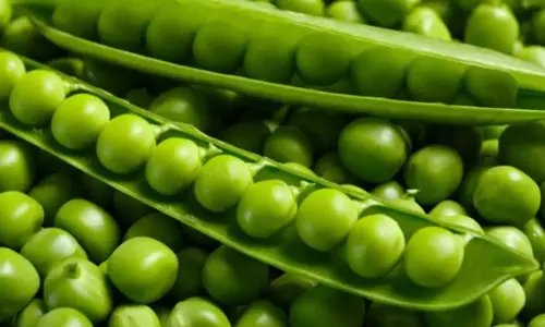 मटर को जल्दी छीलने के लिए अपनाएं ये ट्रिक