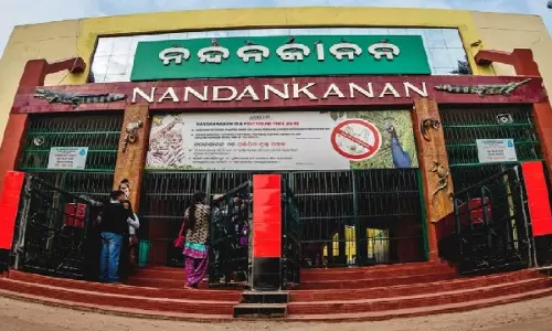 Nandankanan प्राणि उद्यान के 65वें स्थापना दिवस के दौरान कल छह नई सुविधाओं का उद्घाटन किया जाएगा Nandankanan प्राणि उद्यान के 65वें स्थापना दिवस के दौरान कल छह नई सुविधाओं का उद्घाटन किया जाएगा