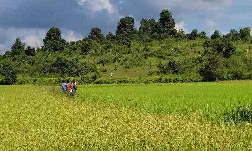 Meghalaya :  सीमावर्ती भूमि स्वामित्व को लेकर कार्बी समुदाय से कथित तौर पर धमकियों का सामना करना पड़ रहा