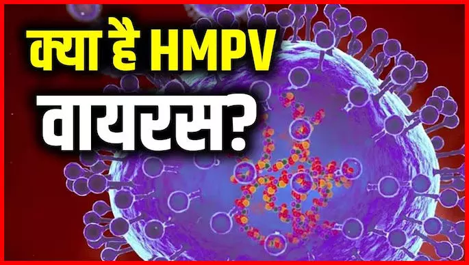 HMPV Virus: एचएमपीवी वायरस का कहर, केंद्रीय स्वास्थ्य सचिव ने की स्थिति की समीक्षा