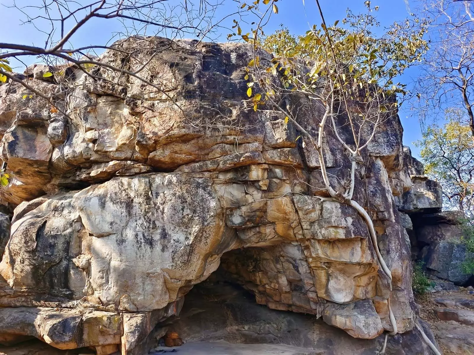 पुरातात्विक शैलचित्रों के लिए प्रसिद्ध चितवाडोंगरी बन रहा है प्रमुख पर्यटन केंद्र